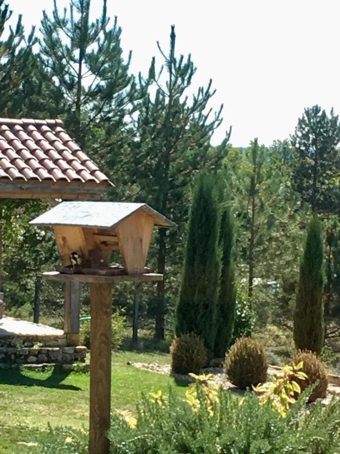 Bed and Breakfast Le Lion D'Or en PERIGORD Mauzac-et-Grand-Castang Exterior foto